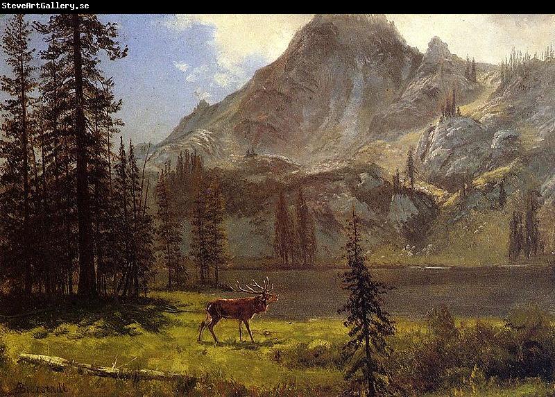 Albert Bierstadt Albert Bierstadt Call Of The Wild
